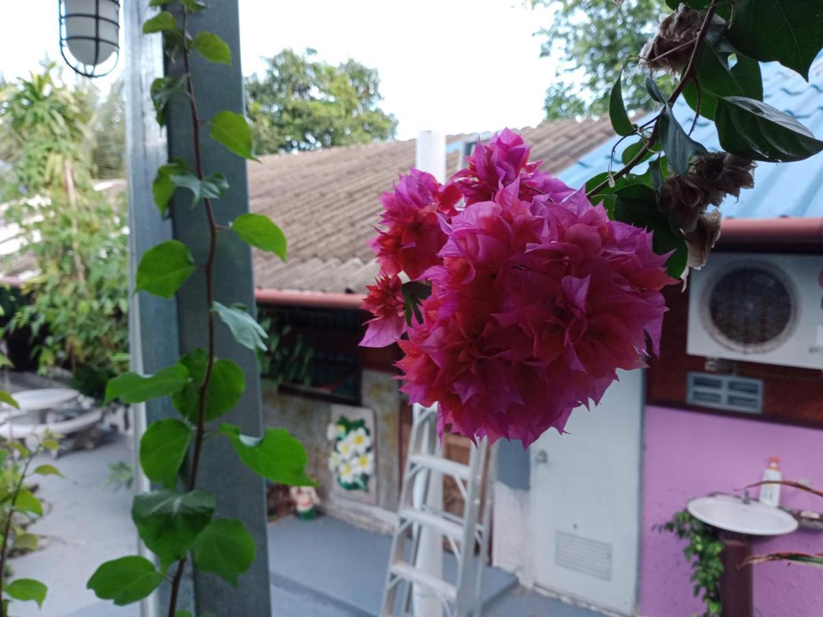 Comon Bungalow Haadchaophao هاد تشاو فاو المظهر الخارجي الصورة